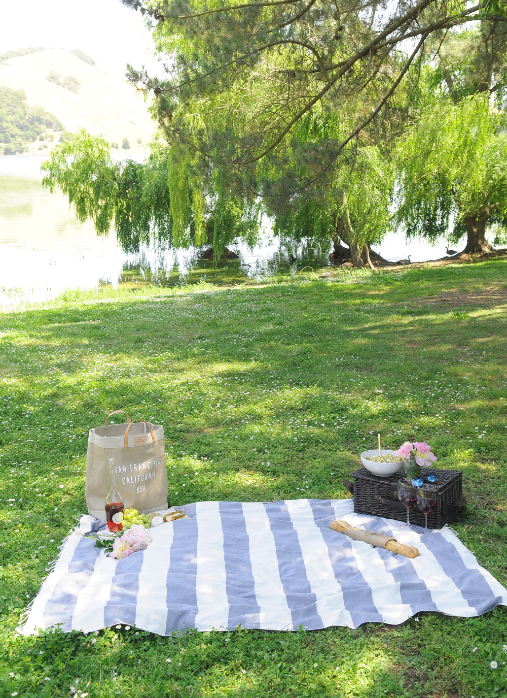 Setting A Simple Picnic Harlowe James