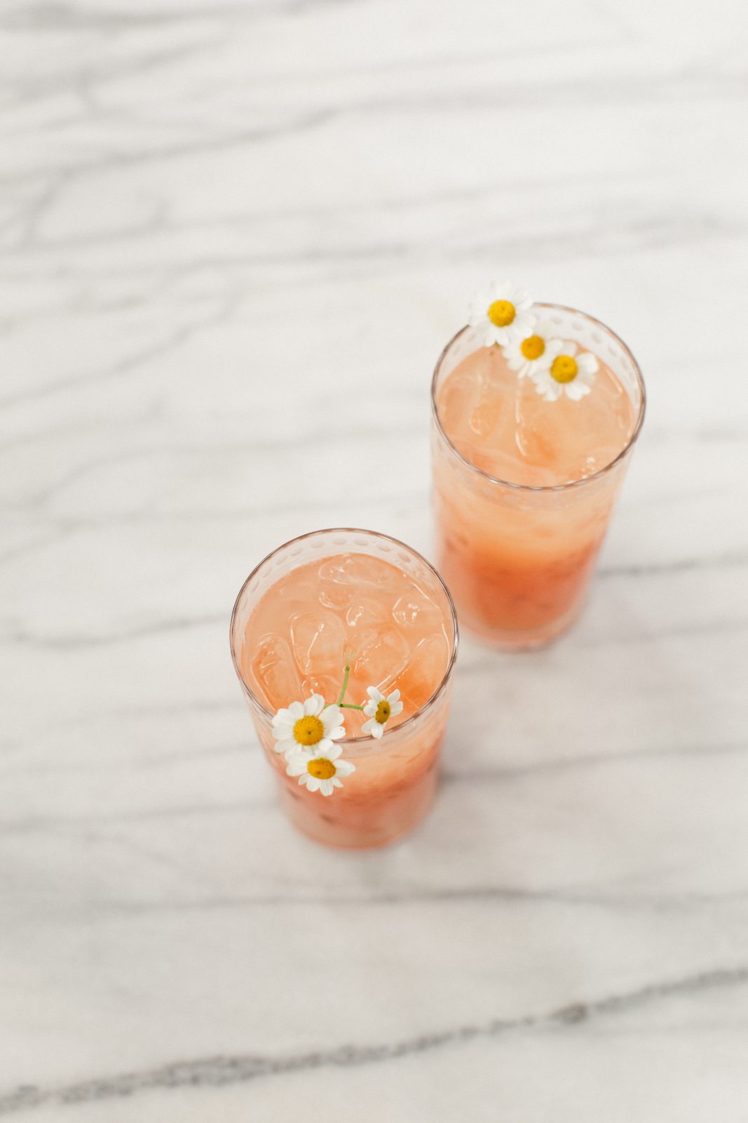 Grapefruit Habanero Cocktail Harlowe James